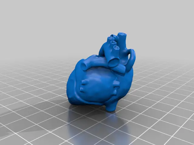 Anatomical Heart Keychain — modelo 3D