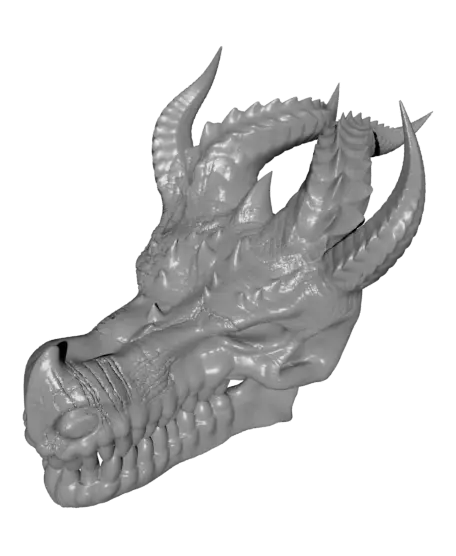 Dragon's skull — modelo 3D