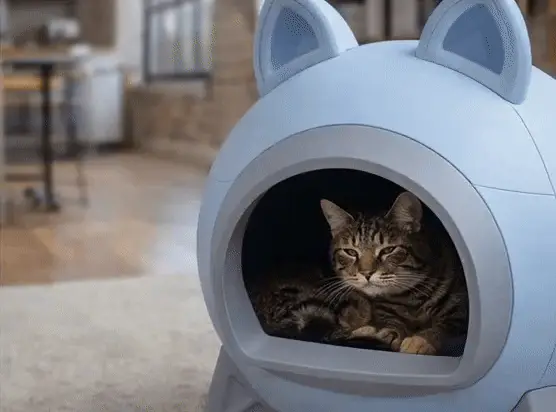 Totally cute animal home / pet house with cat or mouse ears — modelo 3D