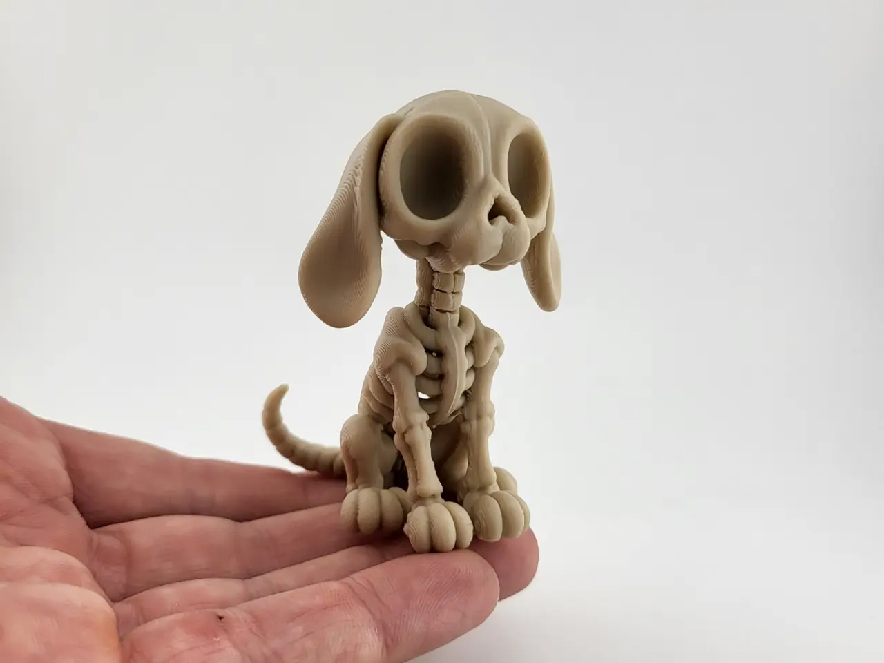 Skeleton Dog | Cute Halloween Gothic Decor — modelo 3D