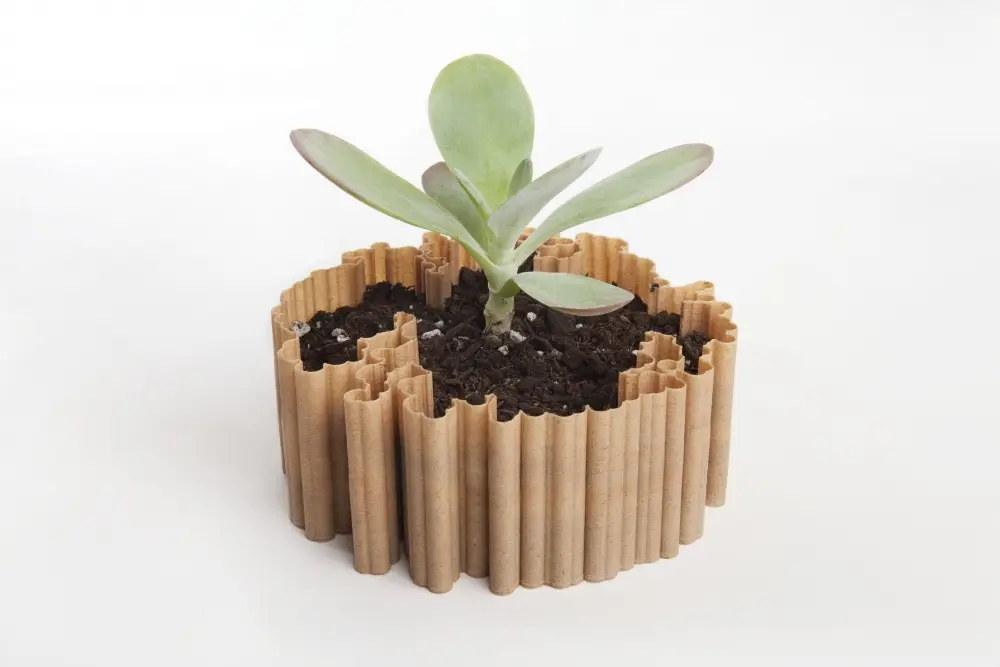 Dendritas v3.0 — modelo 3D