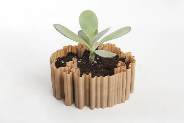 Dendritas v3.0 — modelo 3D
