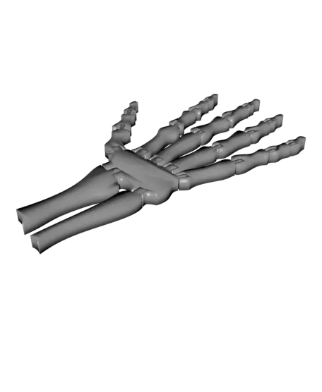 Spooky Flexi Skeleton Hand! Articulated! Bone Hand! — modelo 3D