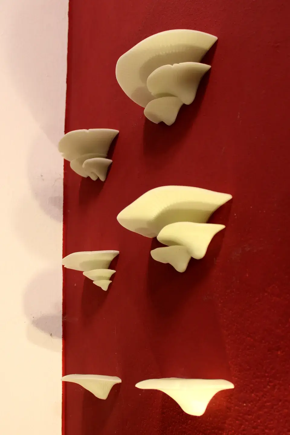 Large Mushroom Shelves with wall mount bracket and two more designs — modelo 3D