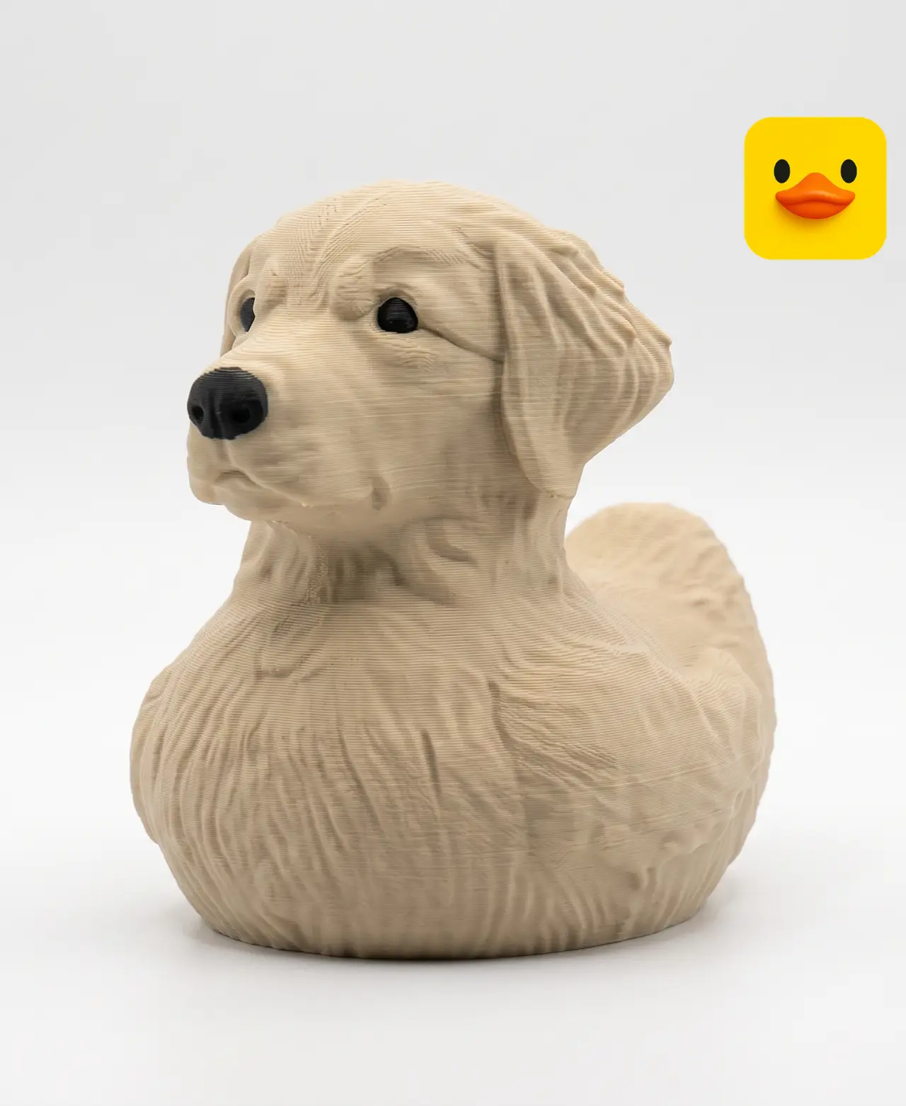 Golden Retriever Duck — modelo 3D