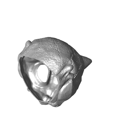 Bulbasaur Skull - Pokemon - Solid & Hollow — modelo 3D