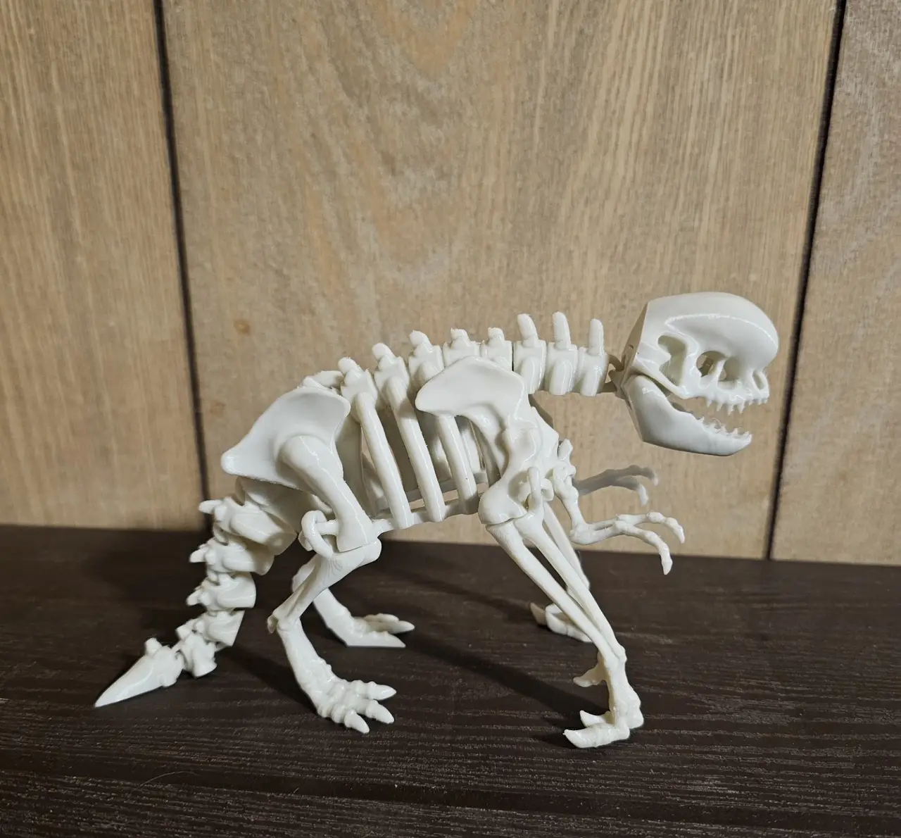 Articulated dinosaur skeleton. Distortus Rex (D-Rex). Flexi Articulated D-Rex Skeleton. — modelo 3D
