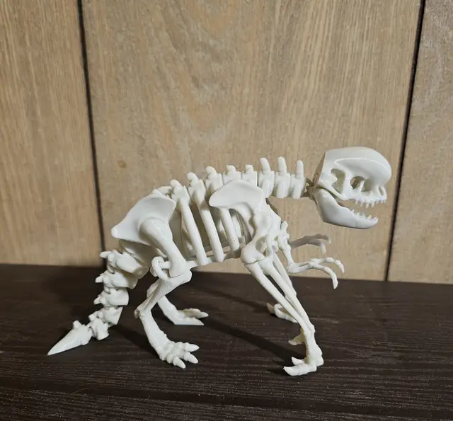 Articulated dinosaur skeleton. Distortus Rex (D-Rex). Flexi Articulated D-Rex Skeleton. — modelo 3D
