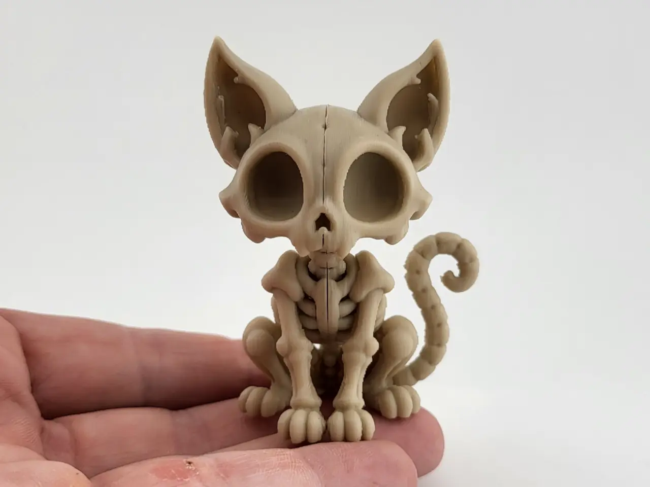 Skeleton Cat | Halloween Gothic Decor — modelo 3D