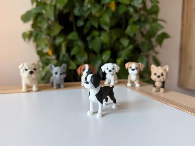 Boston Terrier — modelo 3D