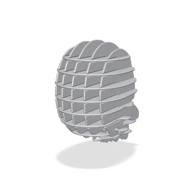 Waffle Skull – FDM Printing — modelo 3D