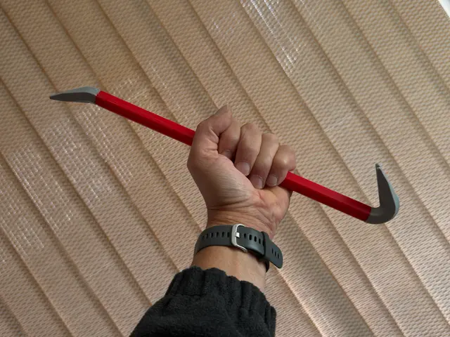 Only for men back scratcher ;-) — modelo 3D