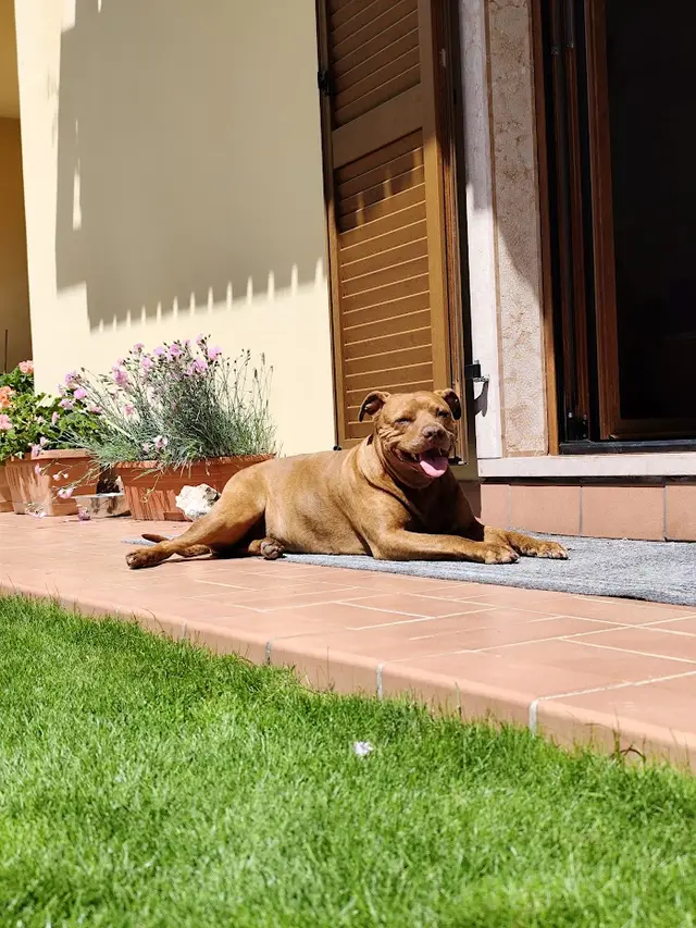 Marly — modelo 3D