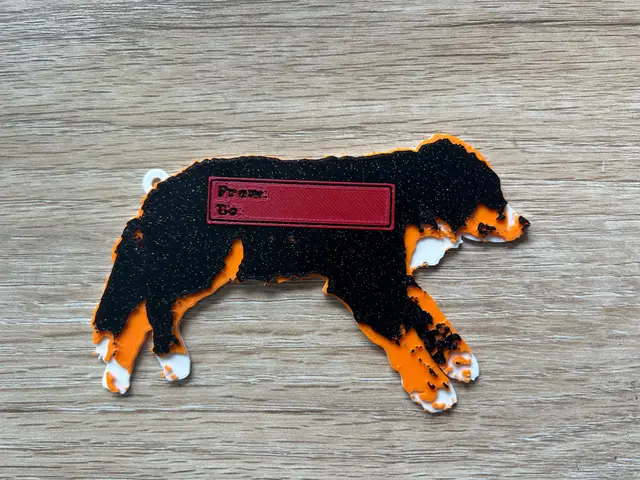 Bernese Mountain Dog gift tag and ornament - multi-colour for single filament printing — modelo 3D