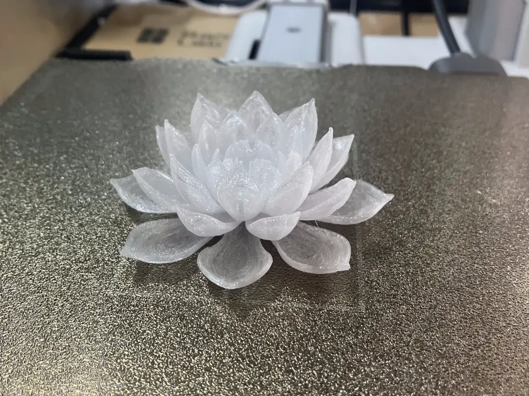 Water lily — modelo 3D