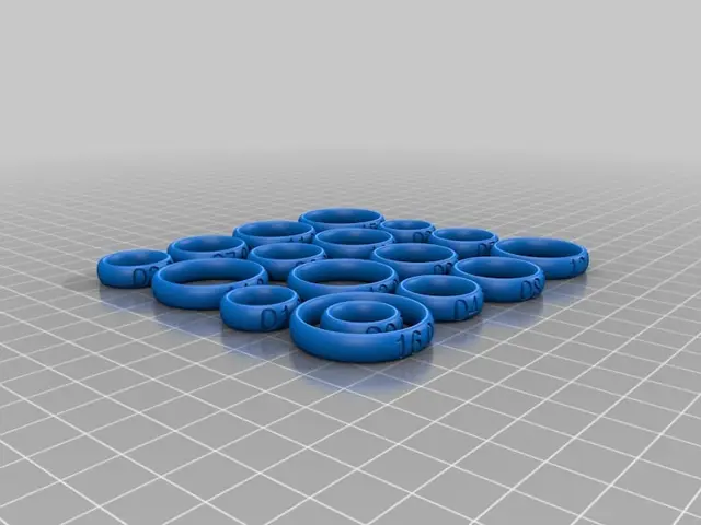 Ring Sizer — modelo 3D