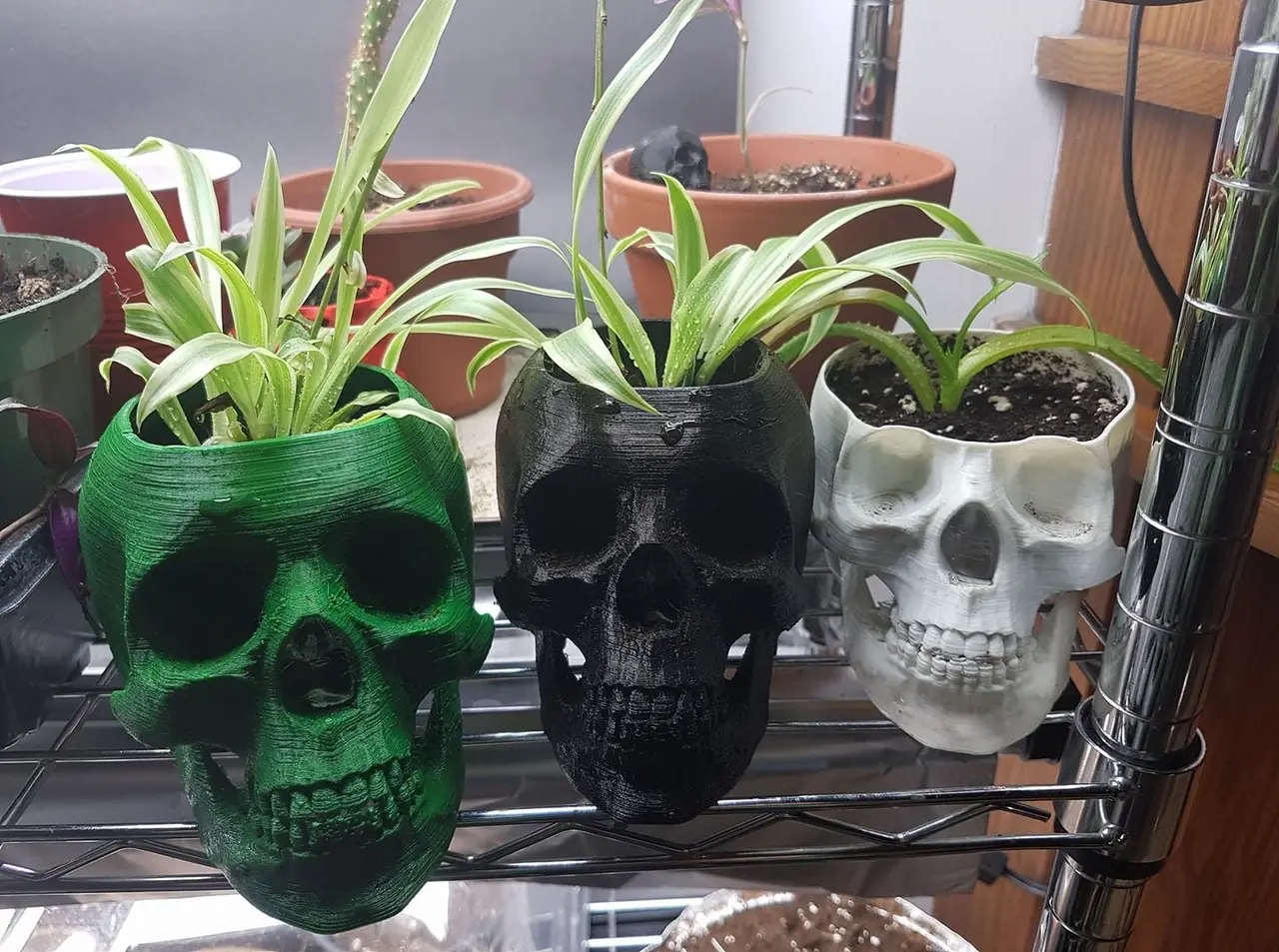 Skull pot — modelo 3D