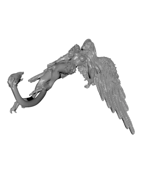 Harpy B - With Free Dragon - 5e DnD Inspired for RPG and Wargamers — modelo 3D