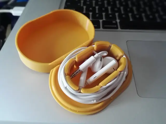 Hinged Case for Earphones (separate parts remix) — modelo 3D