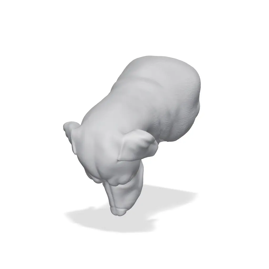 Vizsla Bust 3D Print STL — modelo 3D