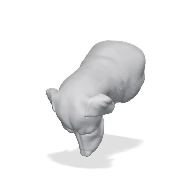 Vizsla Bust 3D Print STL — modelo 3D