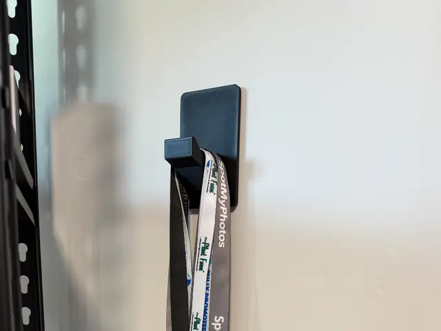 Lanyard Wall Hook – 20+ Lanyards — modelo 3D