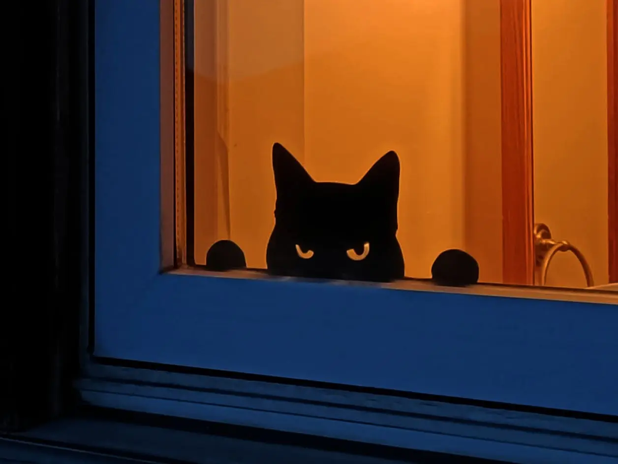 Angry Guard Cat — modelo 3D