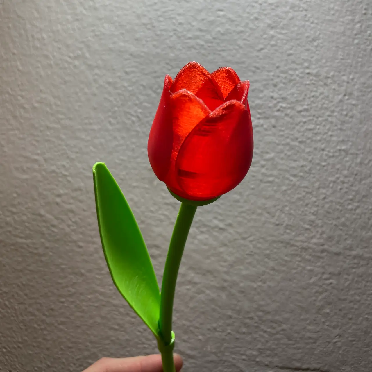 Beautiful Tulip With Stem - Best Valentine’s Day Gift — modelo 3D