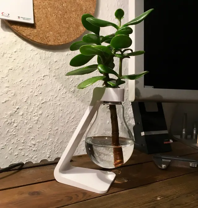 Light Bulb Vase — modelo 3D