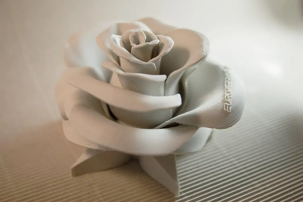 Rose - real flower — modelo 3D
