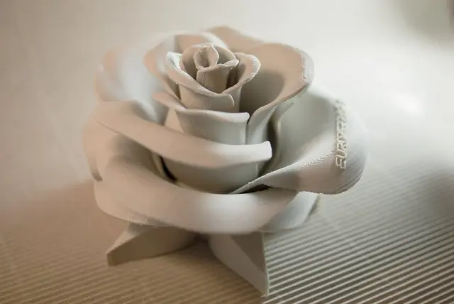 Rose - real flower — modelo 3D