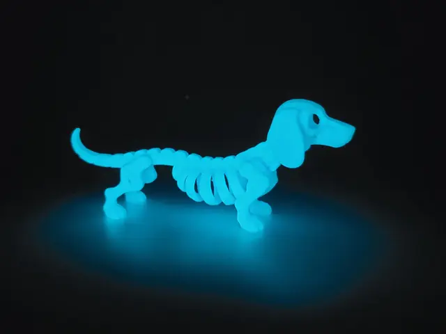 Glow in the Dark Skeleton Dachshund — modelo 3D