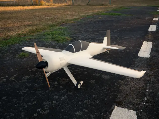 RC Plane – SU-29 1100mm — modelo 3D