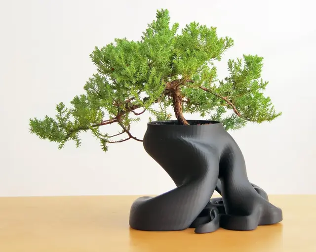 Bonsai Planter (New HD Model with over 1,100,000 Triangles) — modelo 3D