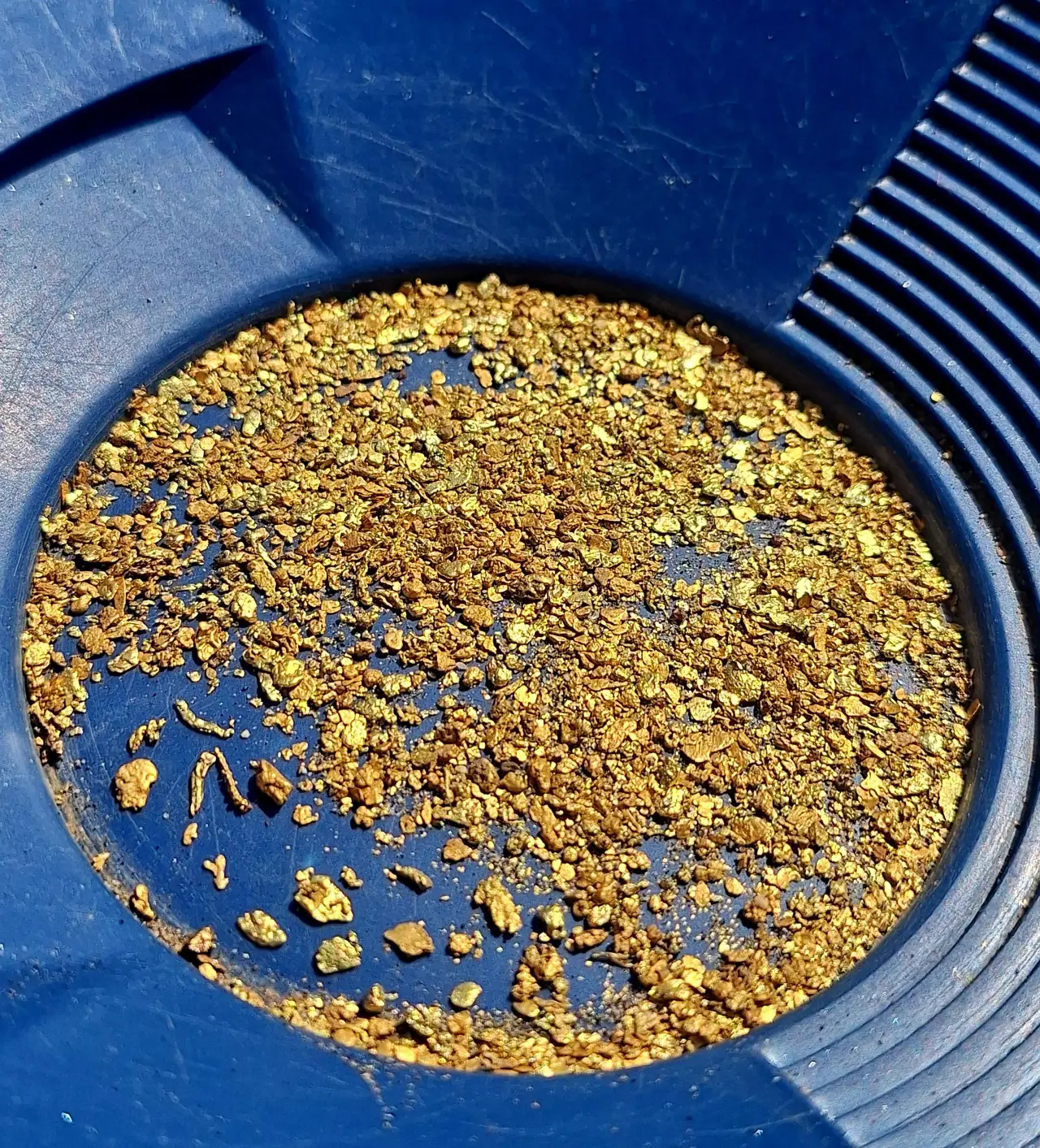 gold pan — modelo 3D