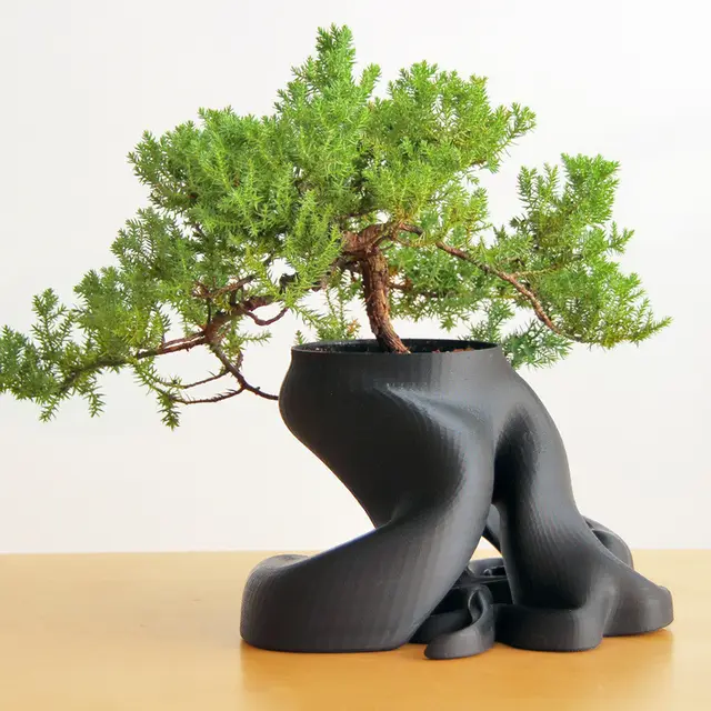 Bonsai Planter — modelo 3D