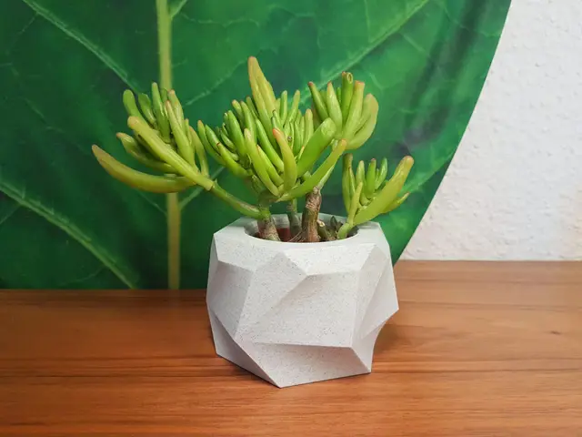 Blocky Planter #3 Flower Pot Collection — modelo 3D
