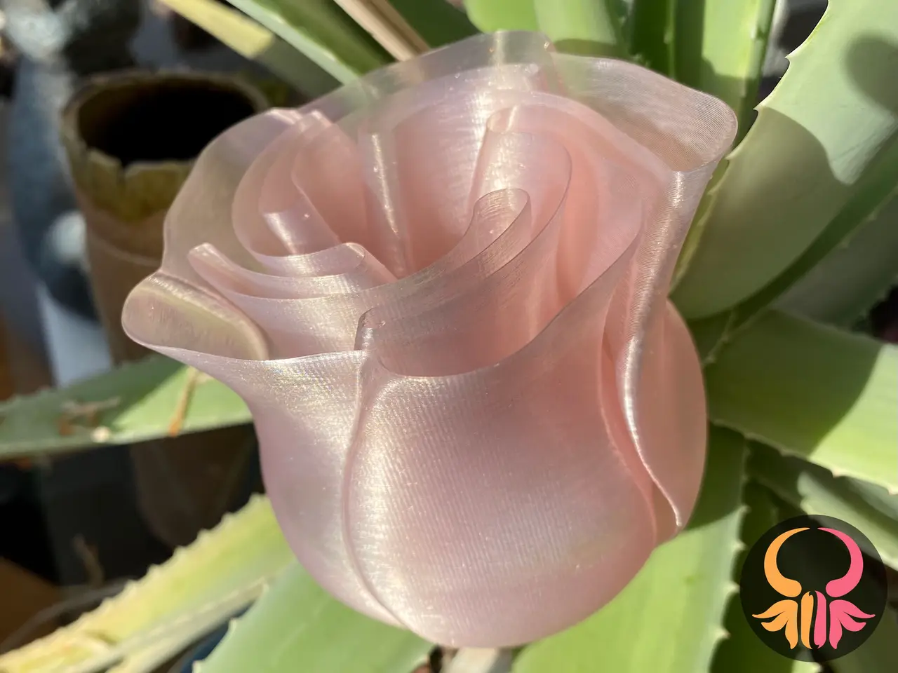 Spiral Vase Rose — modelo 3D
