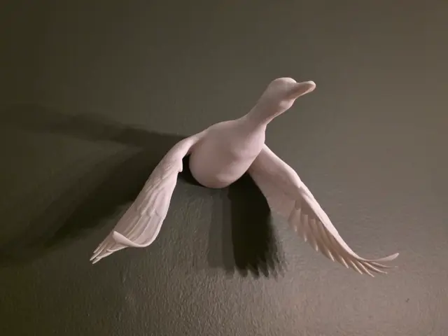 Duck Flight - Wall Art — modelo 3D