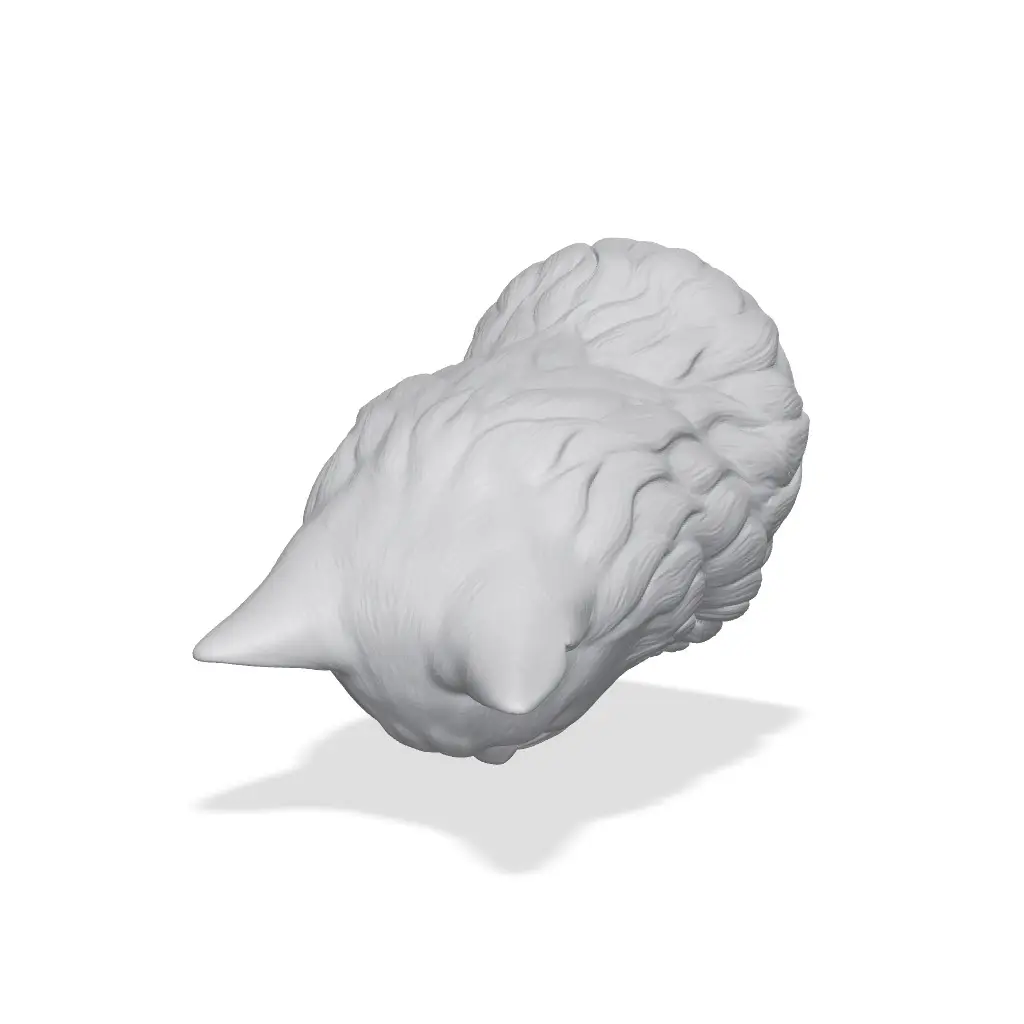 Ragdoll Bust 3D Print STL — modelo 3D