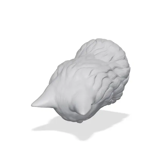 Ragdoll Bust 3D Print STL — modelo 3D