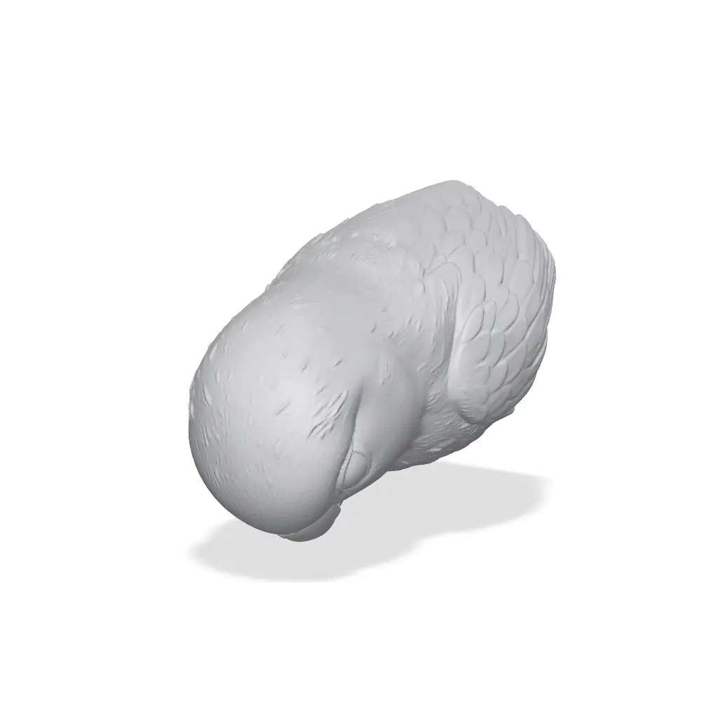 Lovebird Bust 3D Print STL — modelo 3D