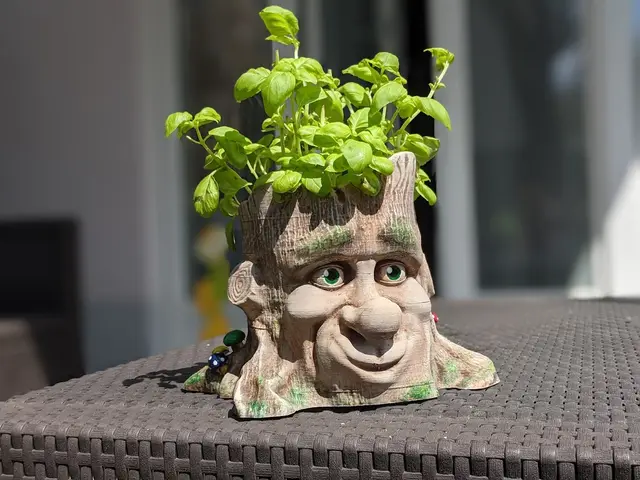 Cartoon Style Tree Face Planter — modelo 3D