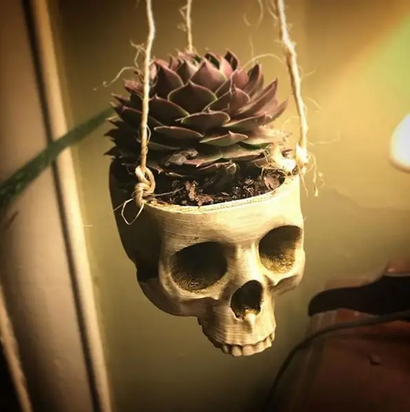 Skull Plant Hanger — modelo 3D