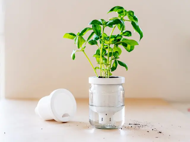 Jargar - Self-Watering Planter in a jar — modelo 3D