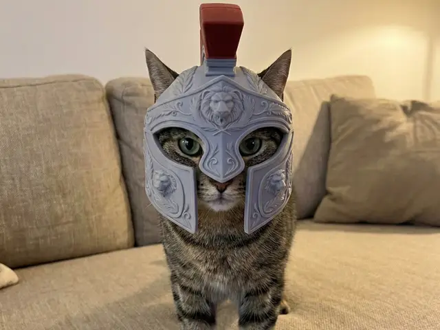 Roman Centurion Kitty Helmet — modelo 3D