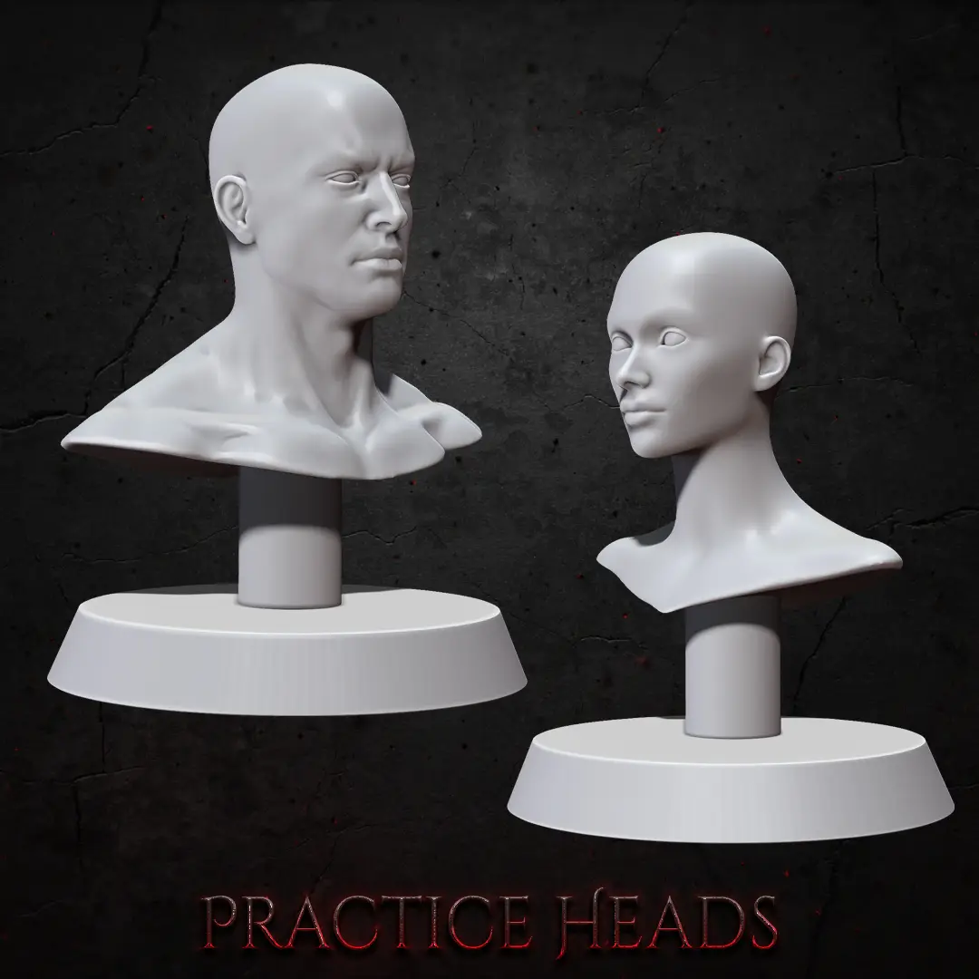 Practice Busts — modelo 3D