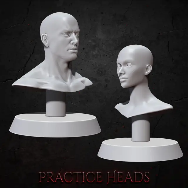 Practice Busts — modelo 3D