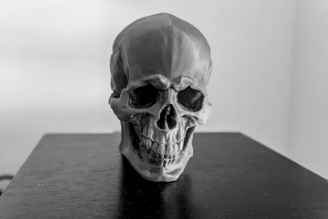 Skull Version 1.1 — modelo 3D