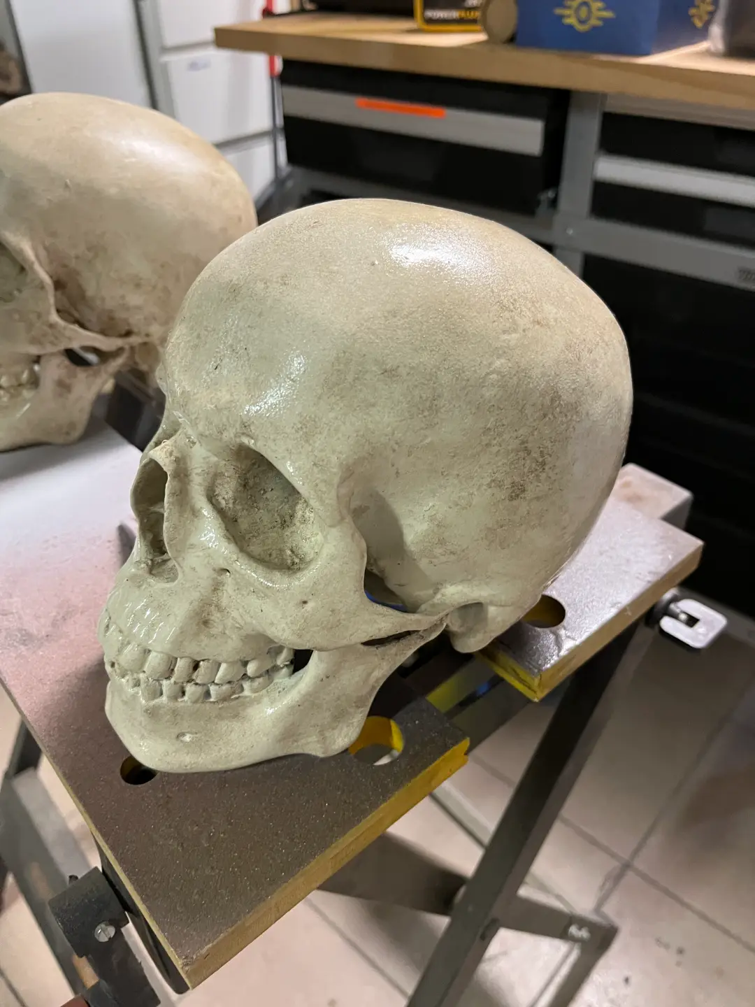 HUMAN SKULL - MEDICAL SCAN | CRÂNE HUMAIN — modelo 3D